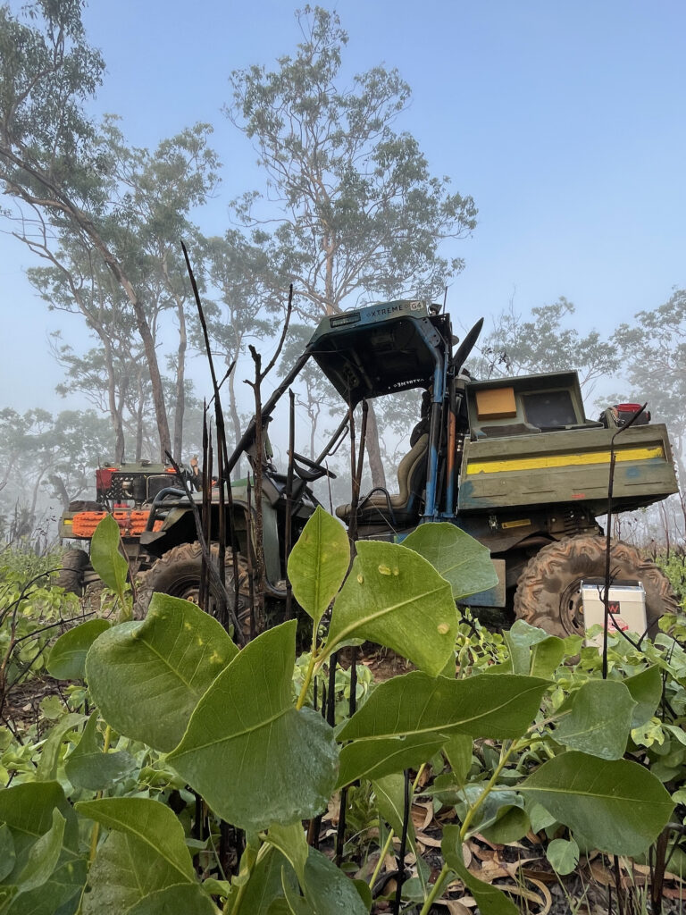 geodetic surveyors in green tropics